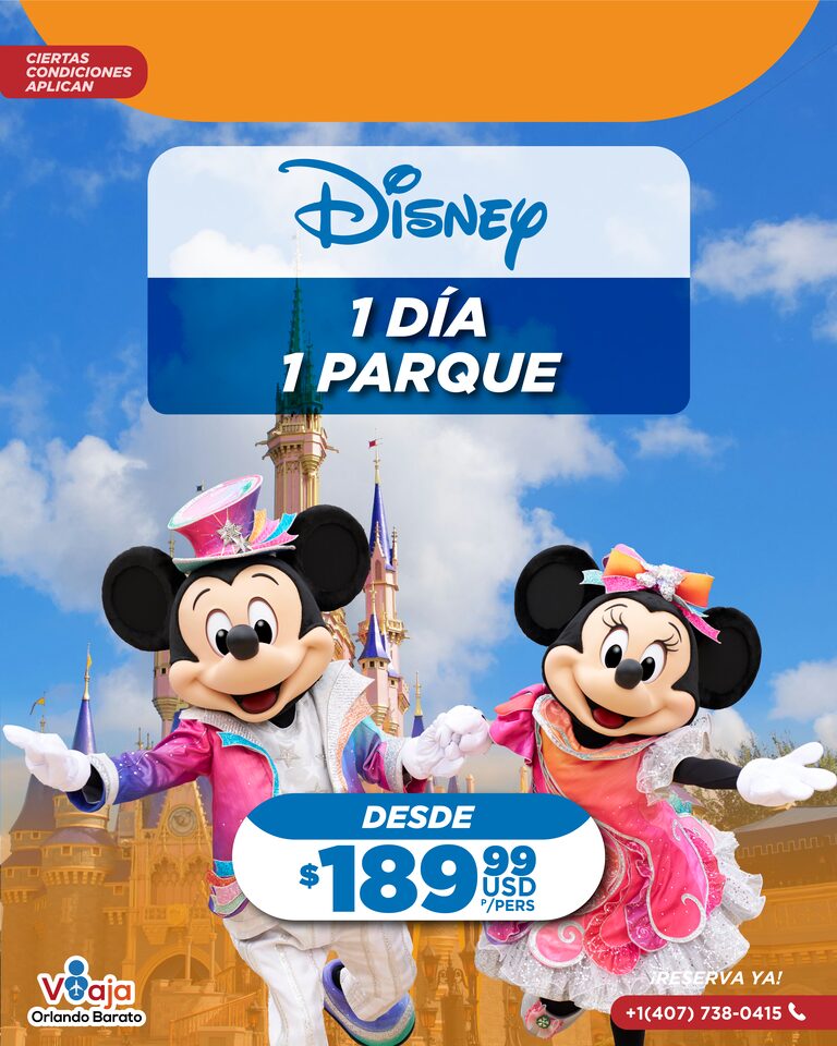 1 DIA DISNEY