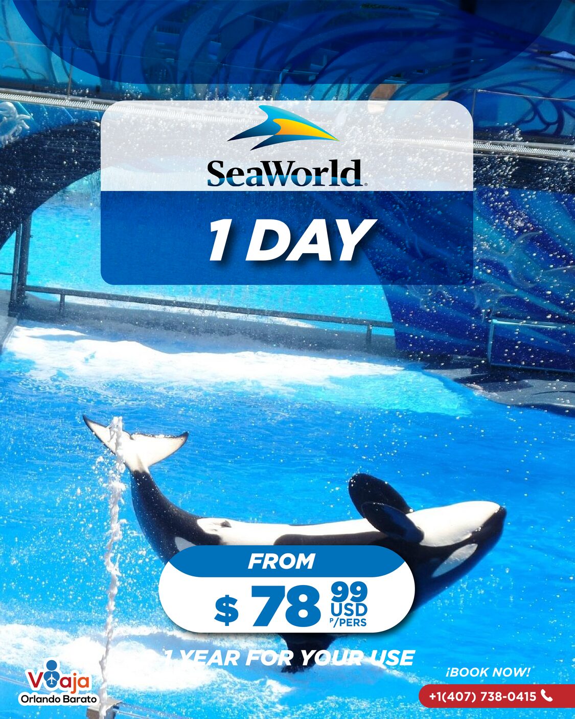 1 DIA SEAWORLD