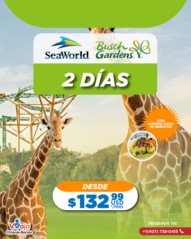 SEAWORLD Y BUSH CON COMIDA
